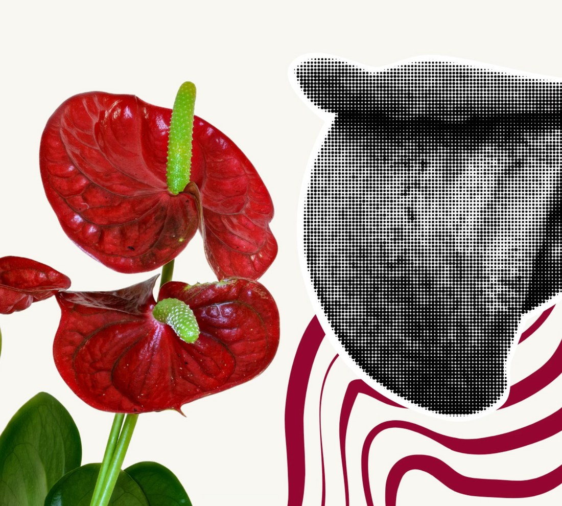 Sexualidad consciente: cuando el cuerpo también necesita sentirse seguro
