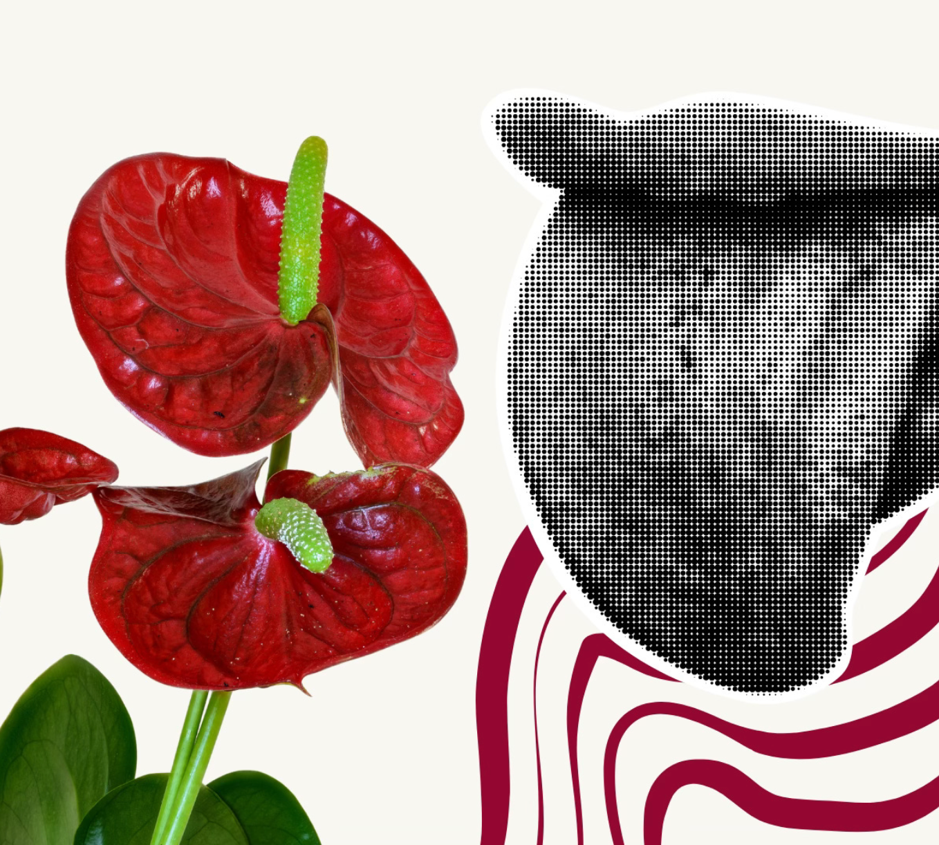 Sexualidad consciente: cuando el cuerpo también necesita sentirse seguro